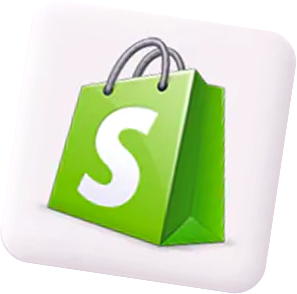 seo-shopify
